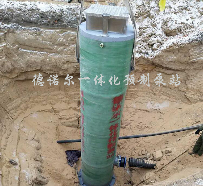 農業(yè)防澇一體化雨水提升泵站